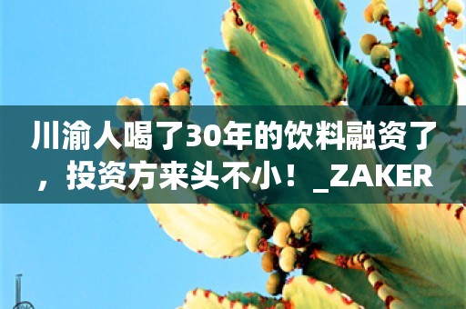 川渝人喝了30年的饮料融资了，投资方来头不小！_ZAKER新闻