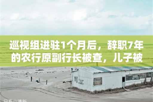 巡视组进驻1个月后，辞职7年的农行原副行长被查，儿子被传一同带走