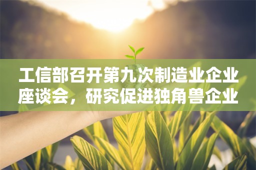 工信部召开第九次制造业企业座谈会，研究促进独角兽企业高质量发展具体措施