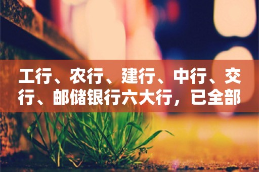 工行、农行、建行、中行、交行、邮储银行六大行，已全部公布