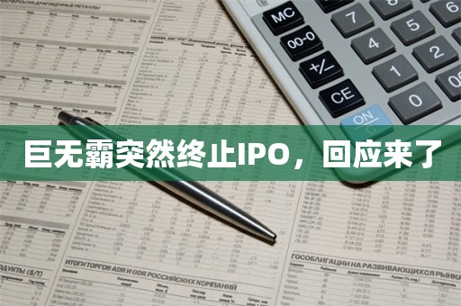 巨无霸突然终止IPO，回应来了