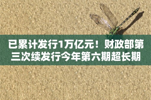 已累计发行1万亿元！财政部第三次续发行今年第六期超长期特别国债