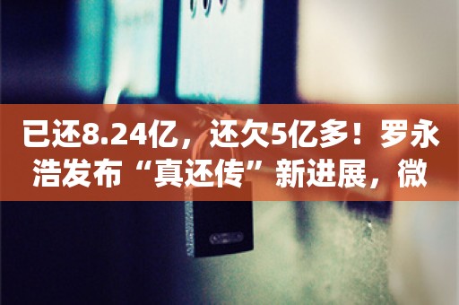 已还8.24亿，还欠5亿多！罗永浩发布“真还传”新进展，微博已改名，“杀”回社交媒体_ZAKER新闻