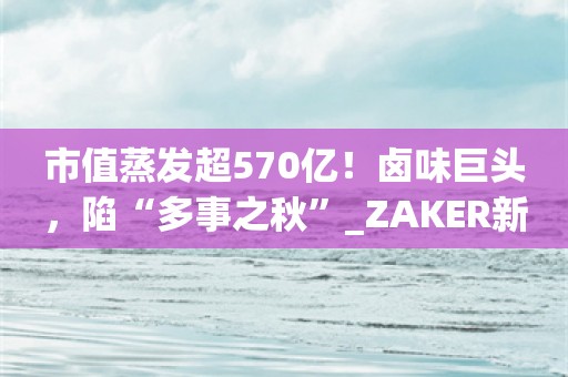 市值蒸发超570亿！卤味巨头，陷“多事之秋”_ZAKER新闻