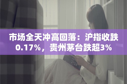 市场全天冲高回落：沪指收跌0.17%，贵州茅台跌超3%