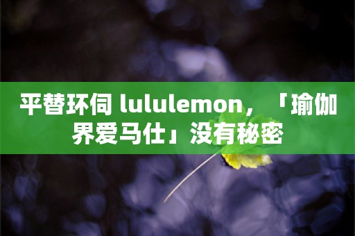 平替环伺 lululemon，「瑜伽界爱马仕」没有秘密