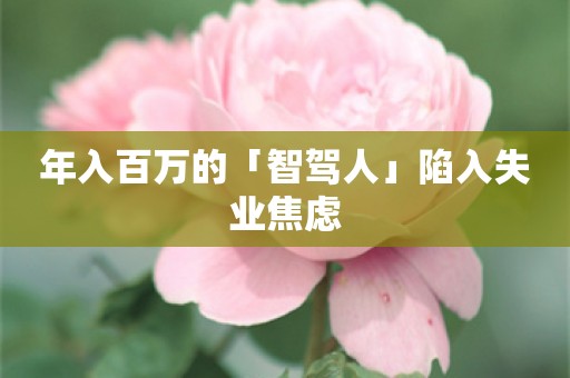 年入百万的「智驾人」陷入失业焦虑