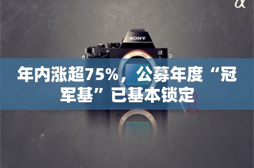 年内涨超75%，公募年度“冠军基”已基本锁定