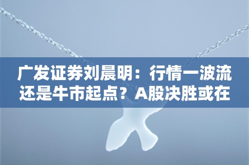 广发证券刘晨明：行情一波流还是牛市起点？A股决胜或在12月初