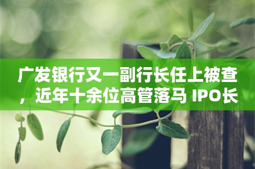 广发银行又一副行长任上被查，近年十余位高管落马 IPO长跑13年难“圆梦”