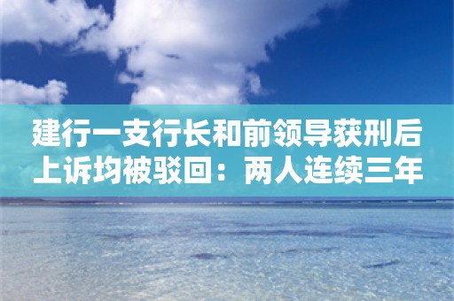 建行一支行长和前领导获刑后上诉均被驳回：两人连续三年为某公司违规放贷4.5亿