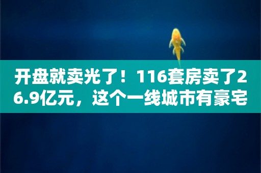 开盘就卖光了！116套房卖了26.9亿元，这个一线城市有豪宅项目遭疯抢