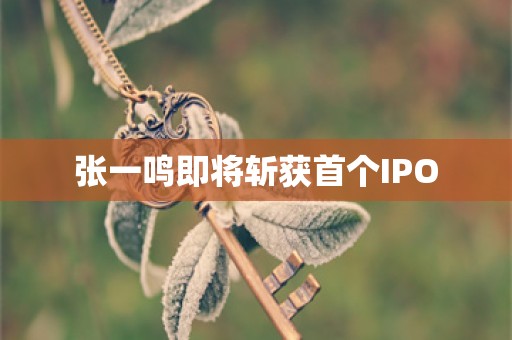 张一鸣即将斩获首个IPO