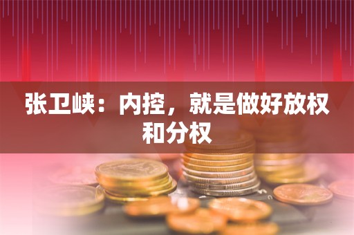 张卫峡：内控，就是做好放权和分权