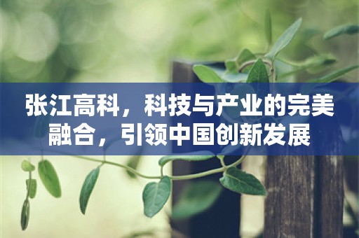 张江高科，科技与产业的完美融合，引领中国创新发展