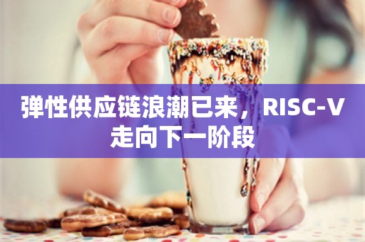 弹性供应链浪潮已来，RISC-V走向下一阶段