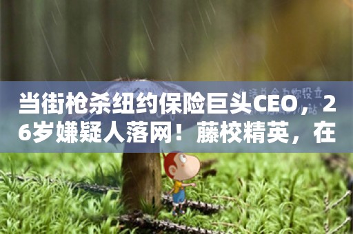 当街枪杀纽约保险巨头CEO，26岁嫌疑人落网！藤校精英，在麦当劳被捕