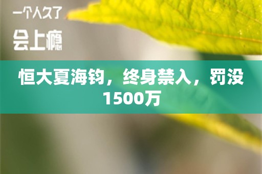 恒大夏海钧，终身禁入，罚没1500万