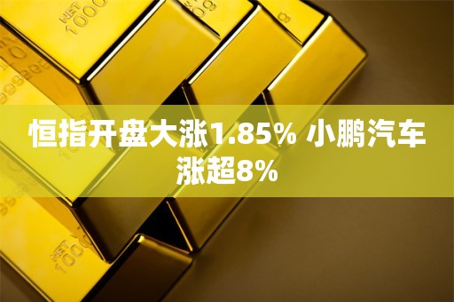 恒指开盘大涨1.85% 小鹏汽车涨超8%