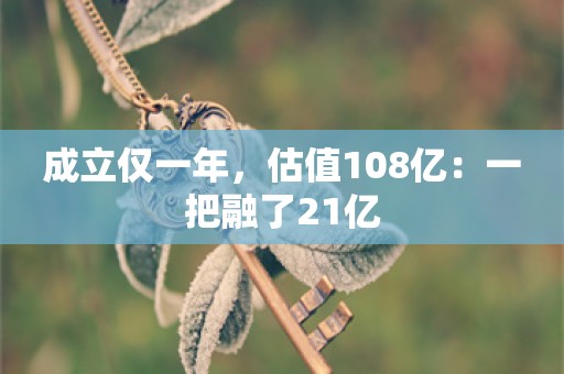 成立仅一年，估值108亿：一把融了21亿