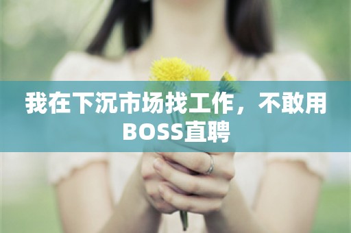 我在下沉市场找工作，不敢用BOSS直聘