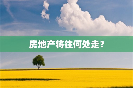 房地产将往何处走？