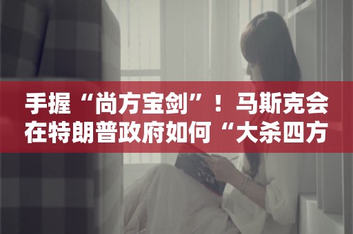 手握“尚方宝剑”！马斯克会在特朗普政府如何“大杀四方”？