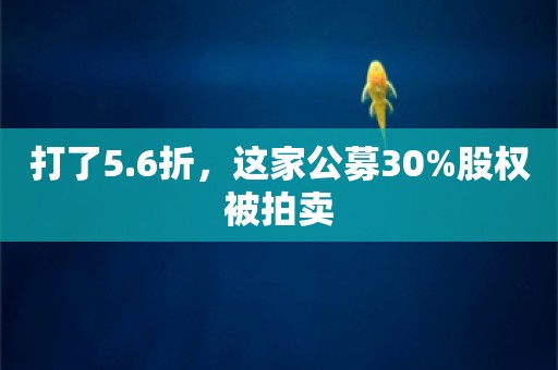 打了5.6折，这家公募30%股权被拍卖