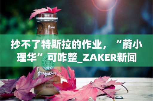 抄不了特斯拉的作业，“蔚小理华”可咋整_ZAKER新闻