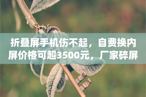 折叠屏手机伤不起，自费换内屏价格可超3500元，厂家碎屏险价格约千元_ZAKER新闻