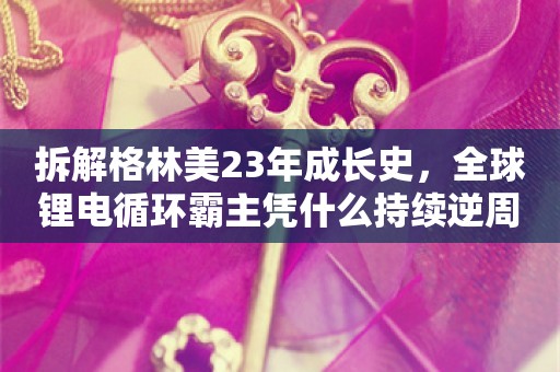 拆解格林美23年成长史，全球锂电循环霸主凭什么持续逆周期成长？