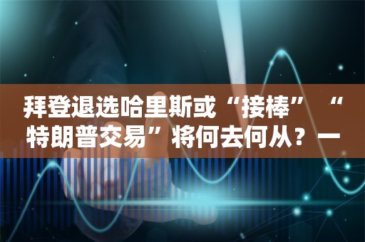 拜登退选哈里斯或“接棒” “特朗普交易”将何去何从？一文看懂