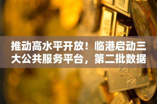 推动高水平开放！临港启动三大公共服务平台，第二批数据跨境一般清单将发布