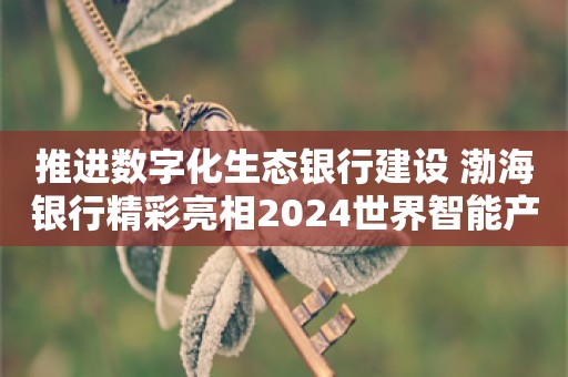 推进数字化生态银行建设 渤海银行精彩亮相2024世界智能产业博览会