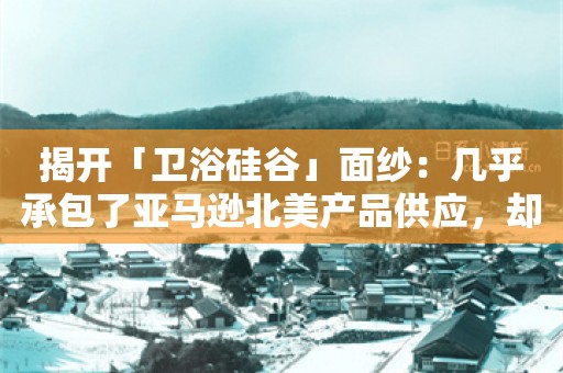 揭开「卫浴硅谷」面纱：几乎承包了亚马逊北美产品供应，却没走出个真正的跨境大卖？