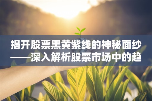 揭开股票黑黄紫线的神秘面纱——深入解析股票市场中的趋势线