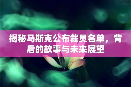 揭秘马斯克公布裁员名单，背后的故事与未来展望