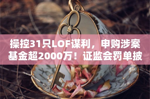 操控31只LOF谋利，申购涉案基金超2000万！证监会罚单披露细节