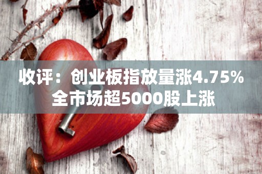 收评：创业板指放量涨4.75% 全市场超5000股上涨