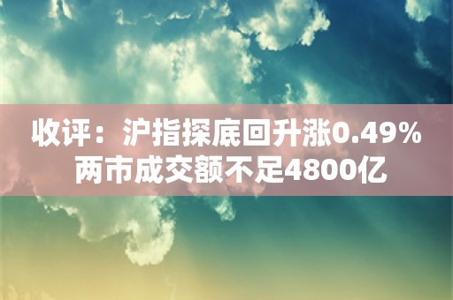 收评：沪指探底回升涨0.49% 两市成交额不足4800亿