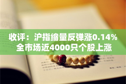 收评：沪指缩量反弹涨0.14% 全市场近4000只个股上涨