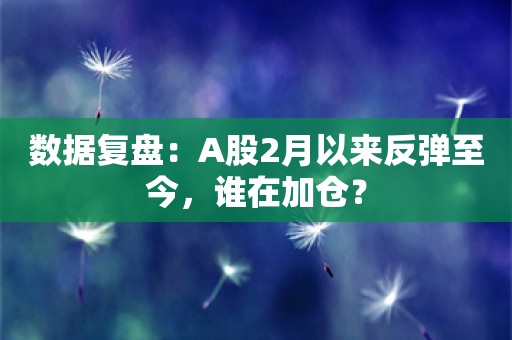 数据复盘：A股2月以来反弹至今，谁在加仓？