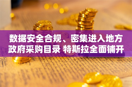 数据安全合规、密集进入地方政府采购目录 特斯拉全面铺开在华业务