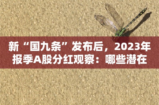 新“国九条”发布后，2023年报季A股分红观察：哪些潜在高分红？