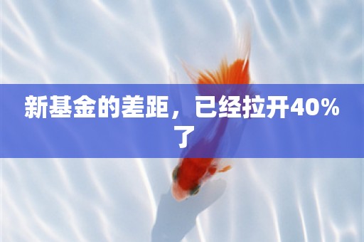 新基金的差距，已经拉开40%了