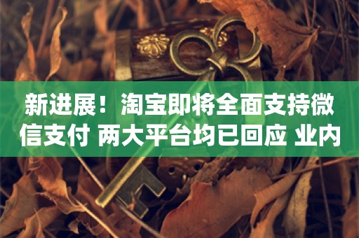 新进展！淘宝即将全面支持微信支付 两大平台均已回应 业内：互联网行业将开启新一轮“互联互通”_ZAKER新闻