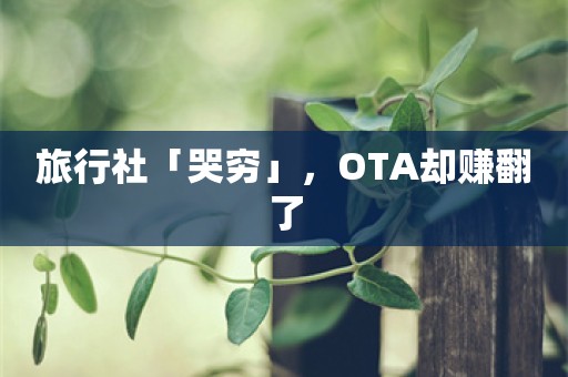 旅行社「哭穷」，OTA却赚翻了