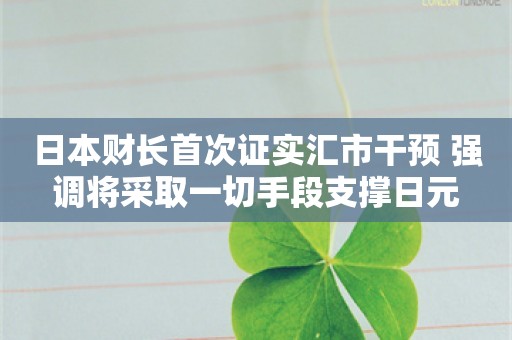 日本财长首次证实汇市干预 强调将采取一切手段支撑日元