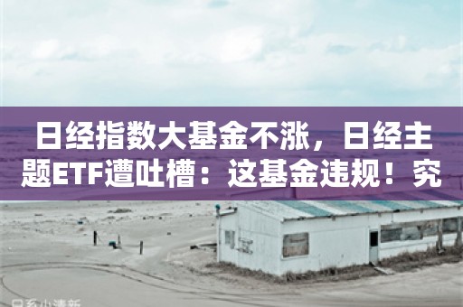 日经指数大基金不涨，日经主题ETF遭吐槽：这基金违规！究竟何原因？