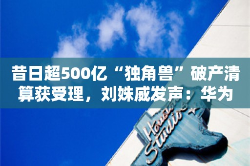 昔日超500亿“独角兽”破产清算获受理，刘姝威发声：华为曾提出投资被拒